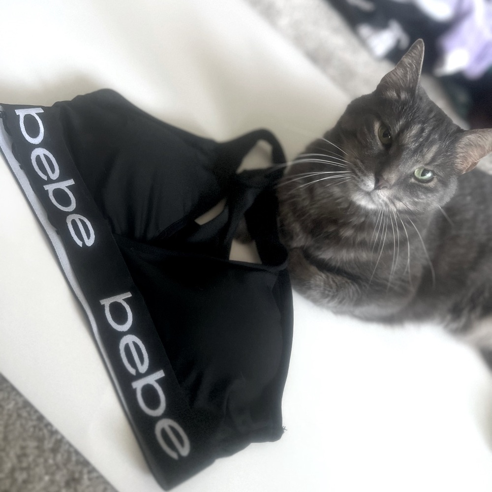 Bebe Sports Bra